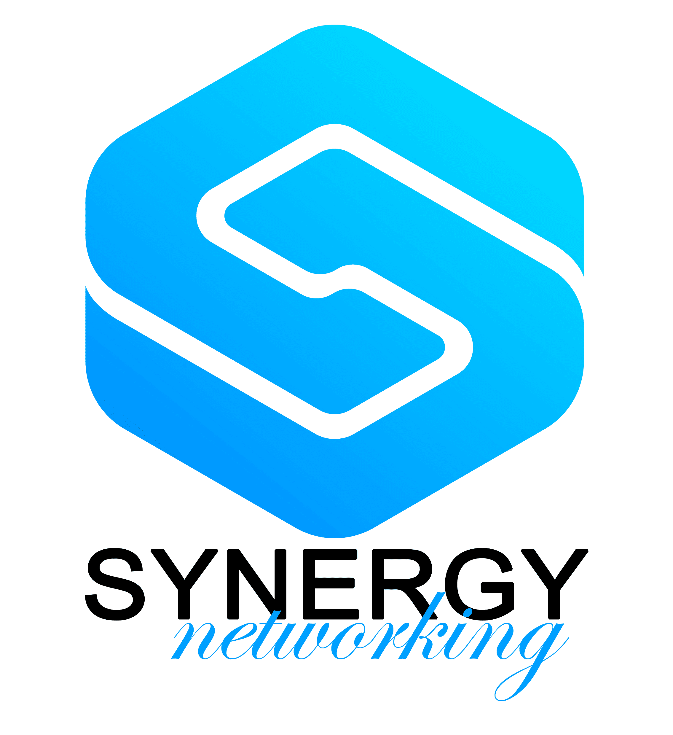 Synergy Networking Cedar Rapids Iowa Logo Design Branding