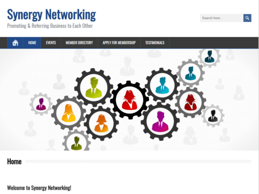 Synergy Networking