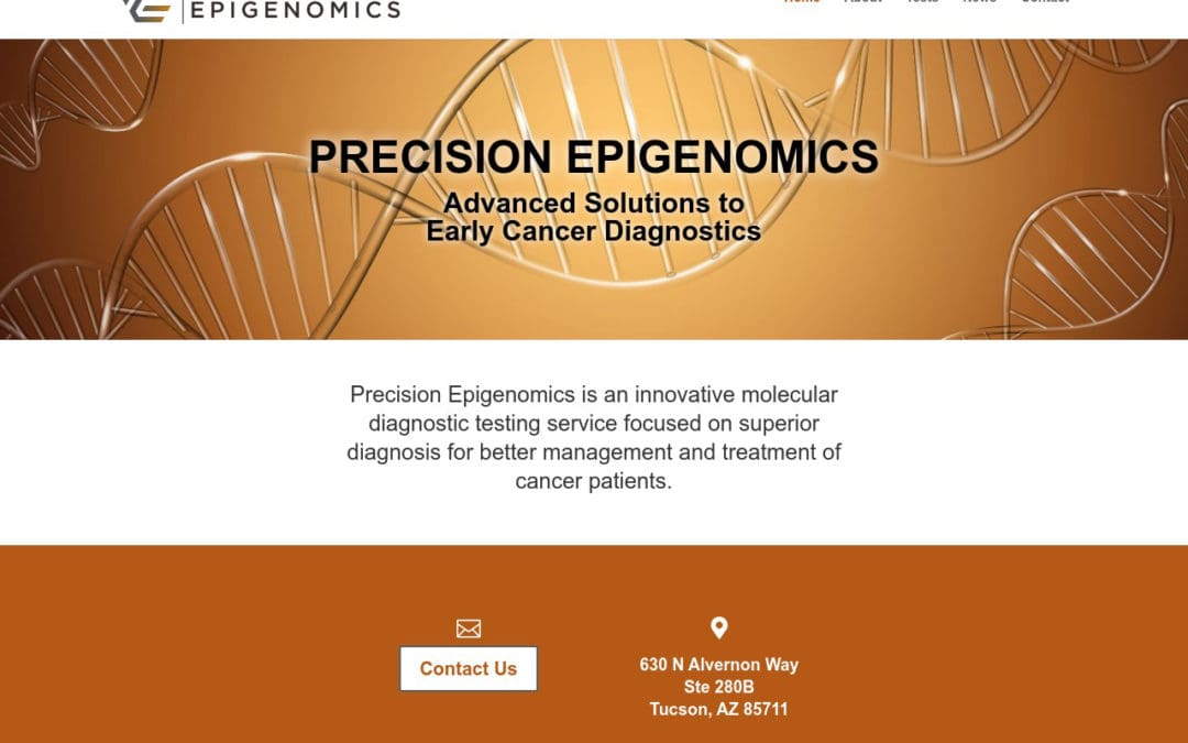 Precision Epigenomics