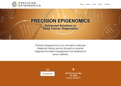 Precision Epigenomics