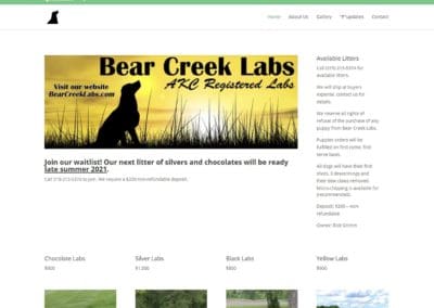 Bear Creek Labs