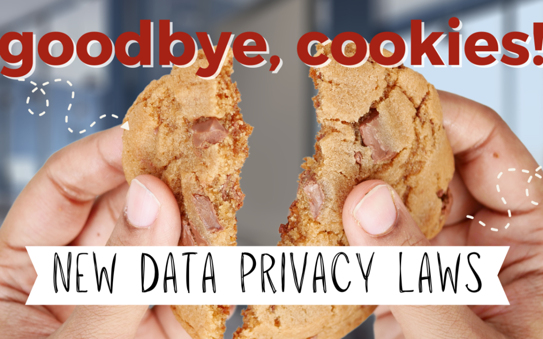 The Future of Digital Marketing: Adapting to Evolving Data Privacy Regulations