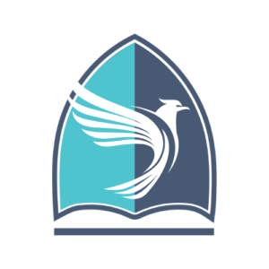Local_Falcon_Shield_Icon